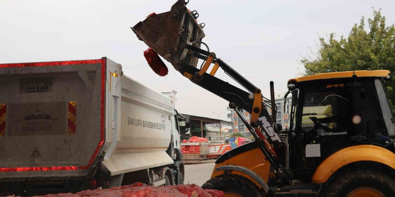 Şanlıurfa’da 22 ton çürümüş soğan ele geçirildi