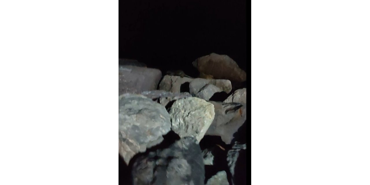 Kartal Sahili’nde ortaya çıkan su samuru kamerada