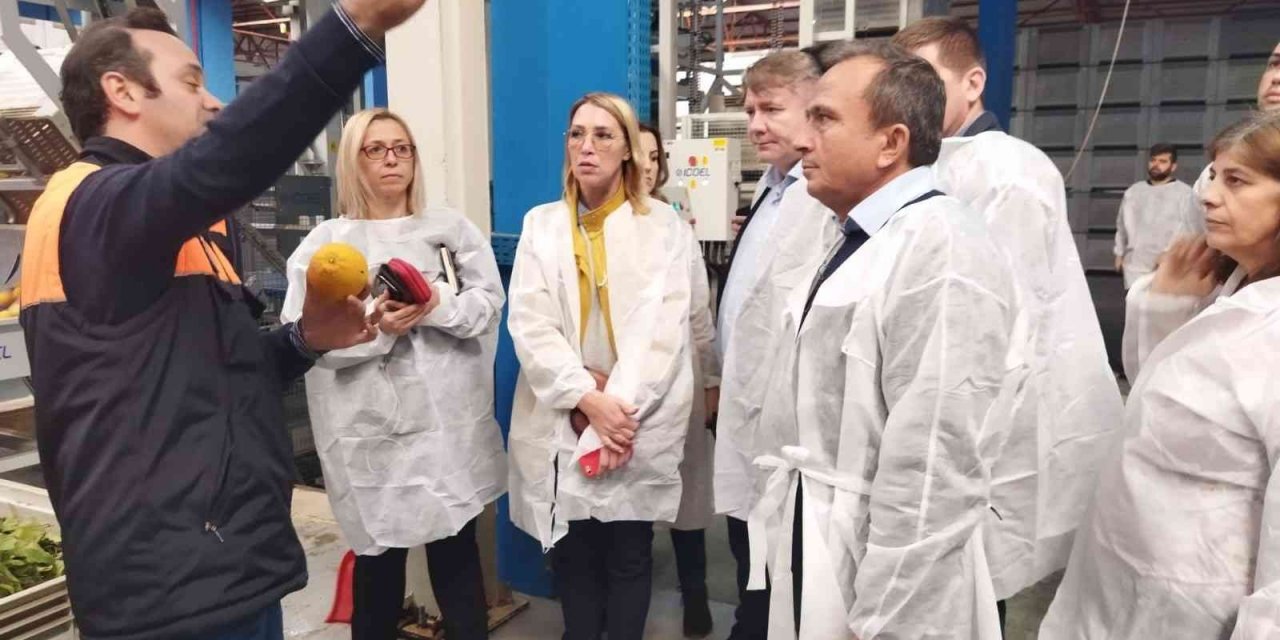 Rusya heyeti Adana’daki narenciye tesislerini inceledi