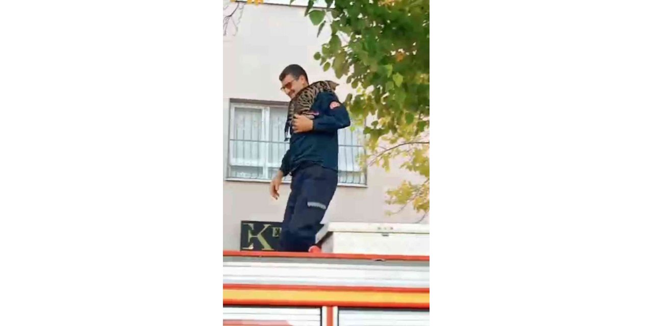 Mahsur kalan kedi, itfaiye erinin omzunda aşağı indi