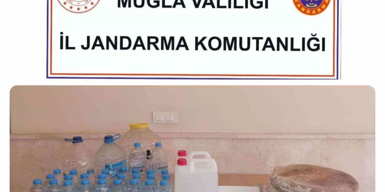 Milas’ta jandarmadan tarihi eser kaçakçılığı operasyonu