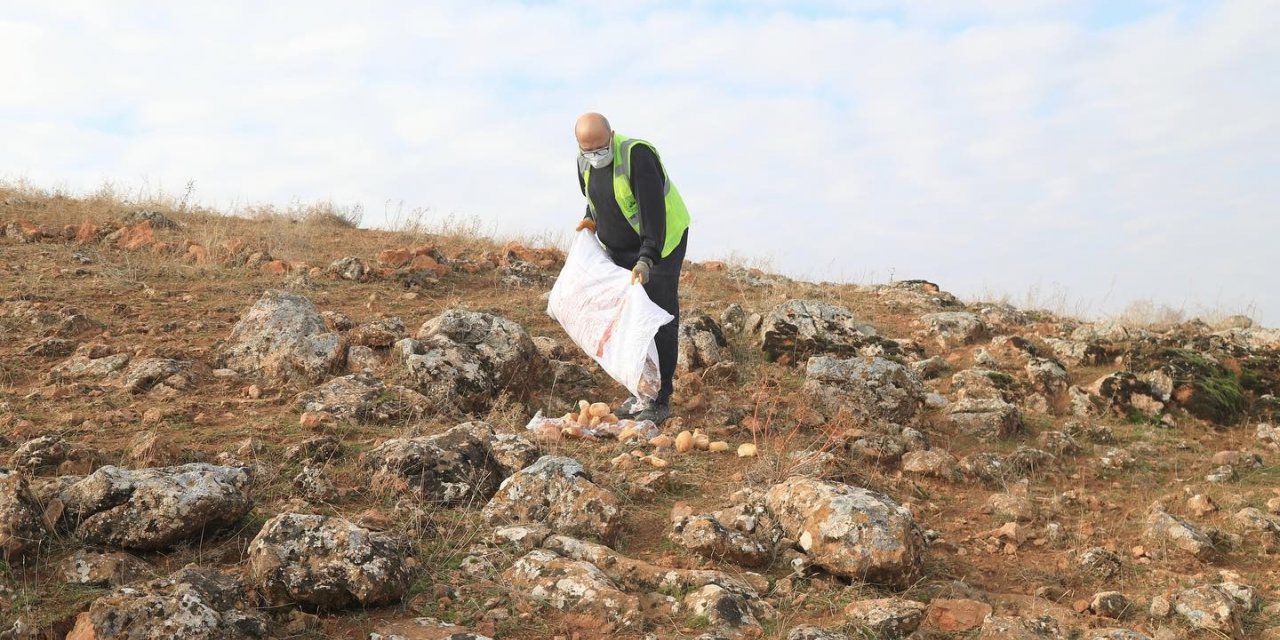 Elazığ Belediyesi, sokak ve yaban hayvanları için yem bıraktı