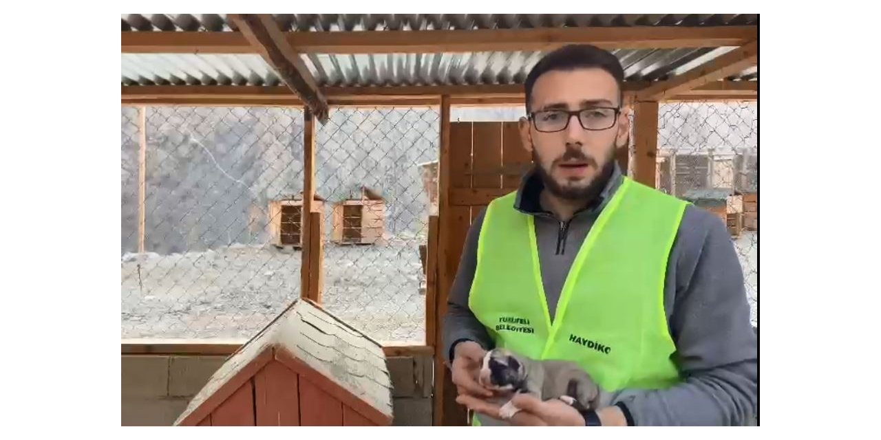 Yeni doğan yavru köpeği kalp masajı yaparak hayata döndürdü
