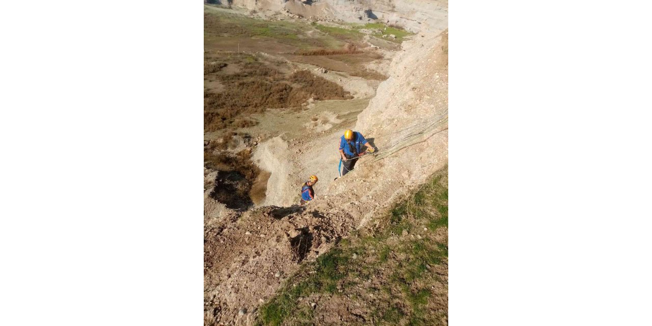 Diyarbakır’da mahsur kalan keçiler ölümün kıyısından iki gün sonra kurtarıldı