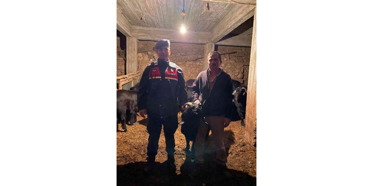 Jandarma kayıp keçileri dron ile buldu