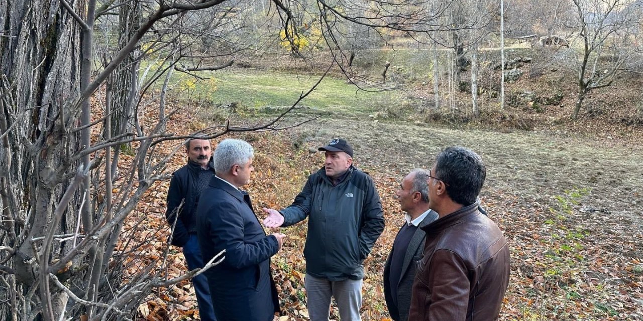 Bitlis’te kestane üretiminde verimi arttırma çalışmaları sürüyor
