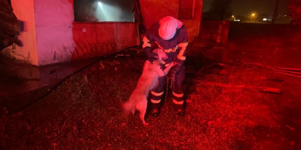 Yangını söndürüp mahsur kalan köpeği kurtardılar