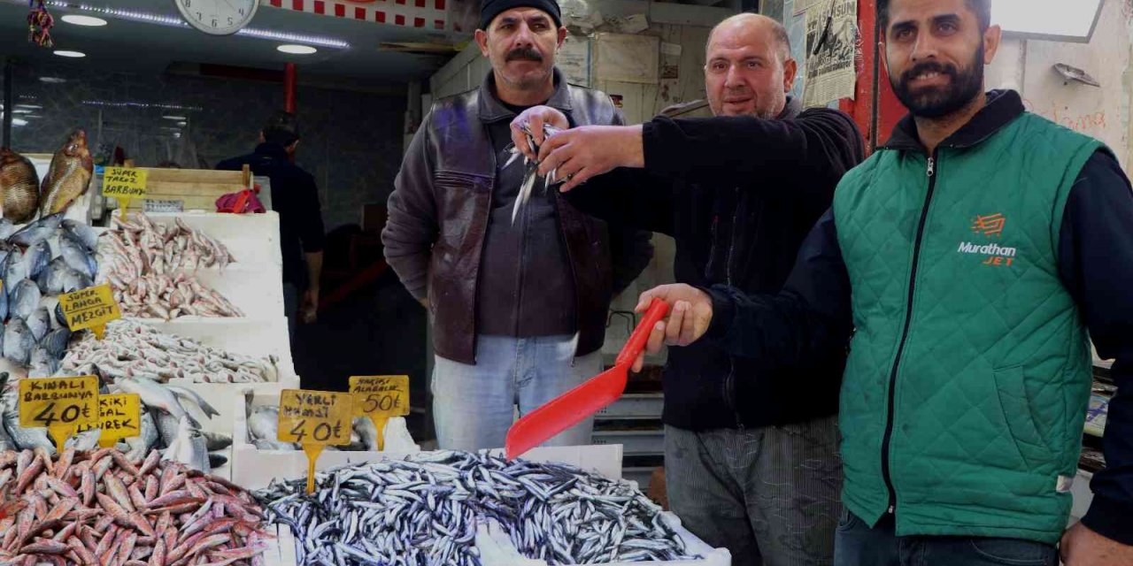 Palamuda doyan vatandaş hamsiye yöneldi