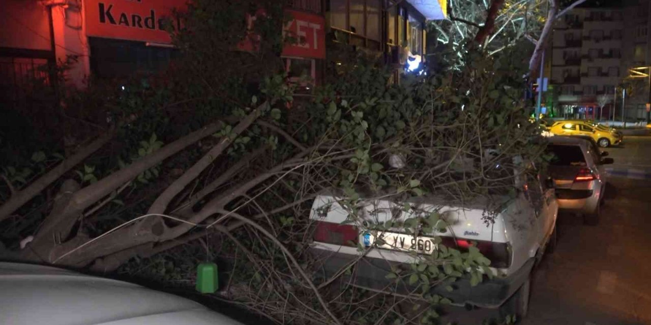 Bursa’da şiddetli lodosun etkisiyle kırılan ağaç, park halindeki otomobilin üzerine düştü