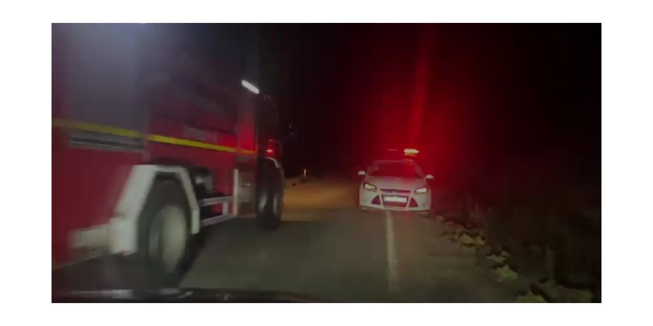 Sazlıklar alevlere teslim oldu