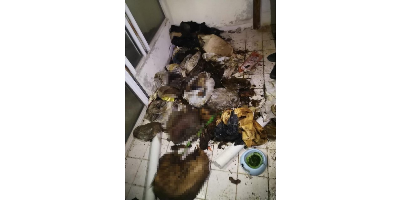 Evde çok sayıda kedi ve köpek ölüsü bulundu