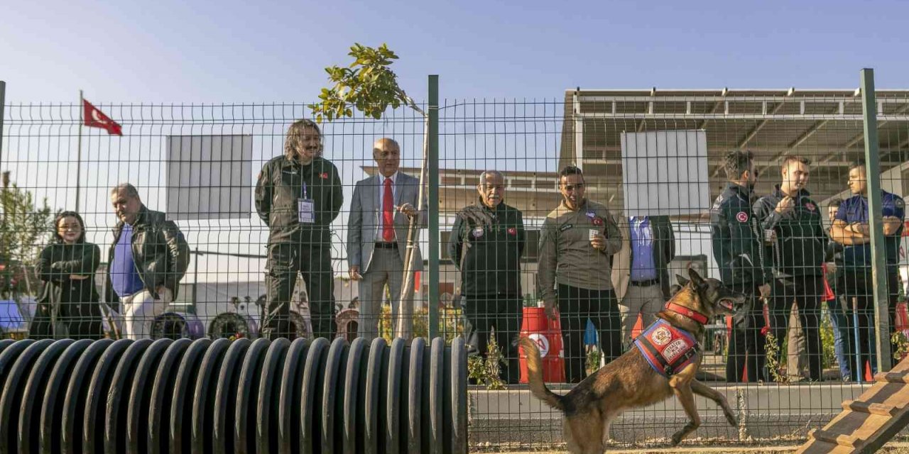 Mersin’de ’Köpekli Arama Kurtarma Çalıştayı’ sona erdi