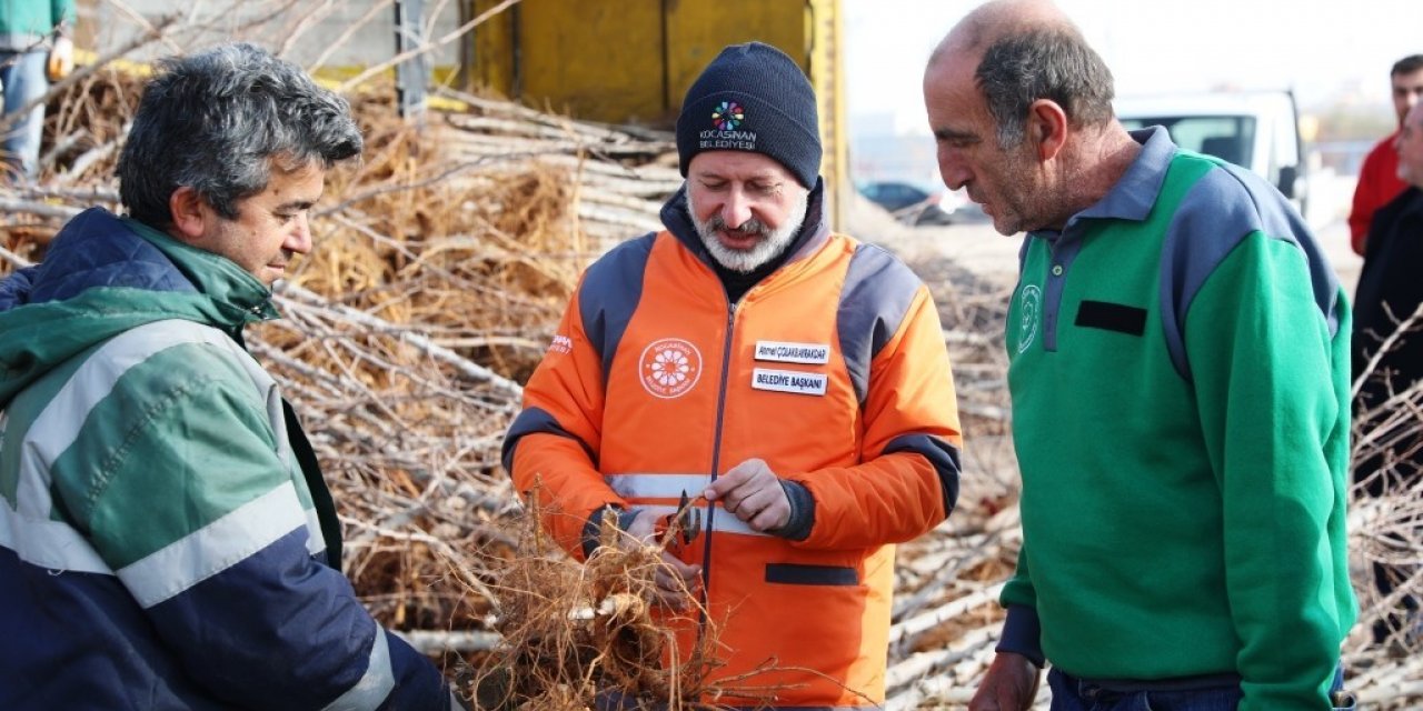 Başkan Çolakbayrakdar; “Kocasinan’da yemyeşil bir bahar olacak!”
