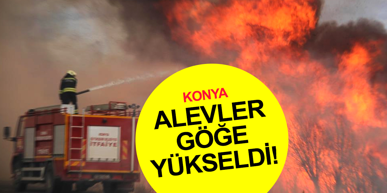 Konya'da yangın! Sazlıklardan yükselen alevler rüzgarla her yanı sardı! Antalya yolunda ulaşım sıkıntılı