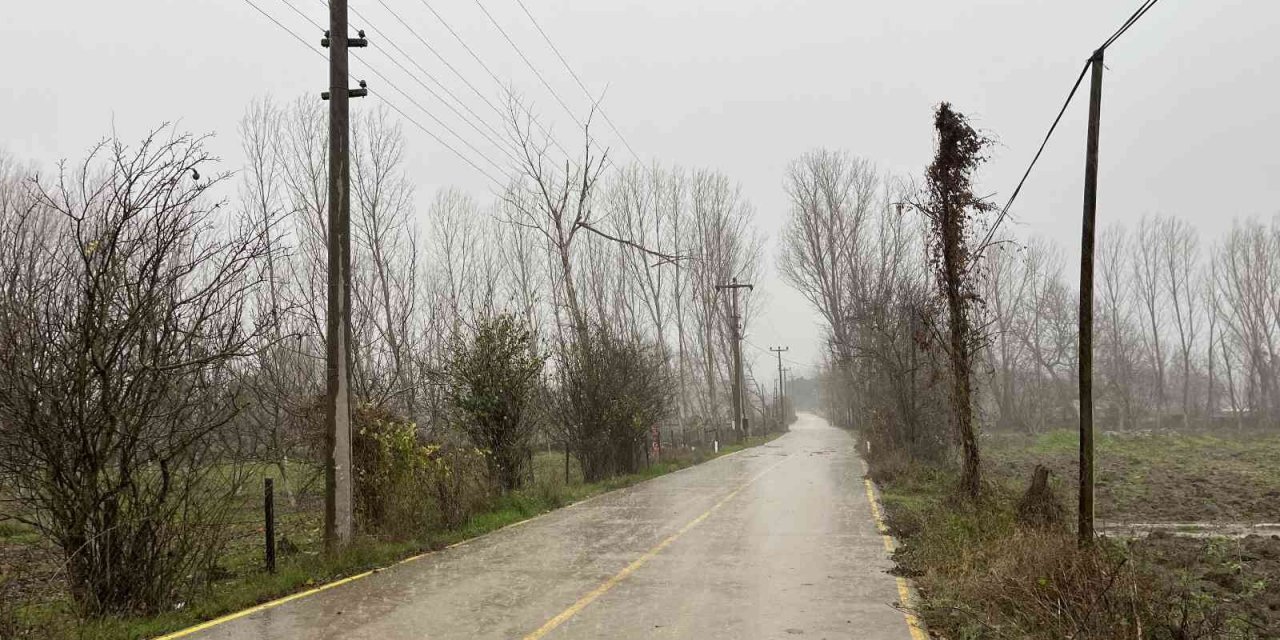 Çan’da fırtına nedeniyle ağaç dalı yüksek gerilim hattı üstüne devrildi