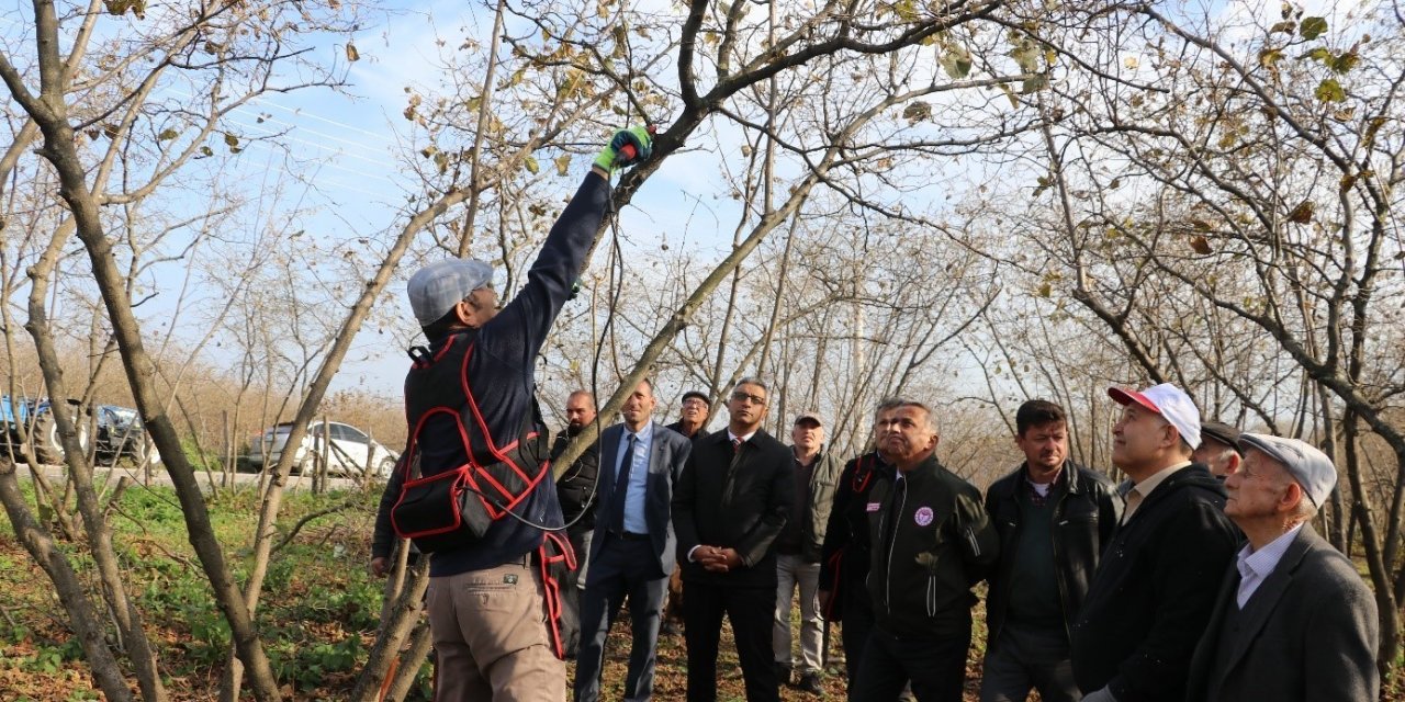 Samsun’da 2022’de 112 bin 301 ton fındık üretildi