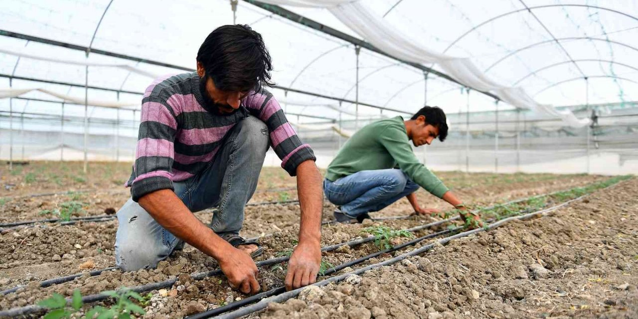 Mersin’de örtü altı üreticilerine destek