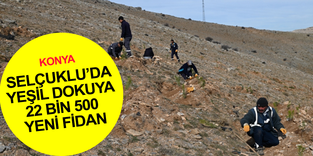 Konya'da ağaçlandırma seferberliği! Selçuklu’da yeşil dokuya 22 bin 500 yeni fidan daha