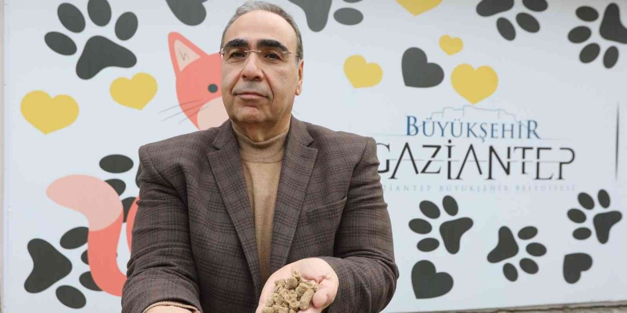 Gastronomi lezzetleri sokak hayvanlarına mama olarak sunuyor