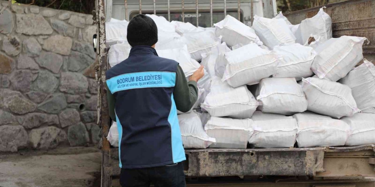 Belediyeden vatandaşlara yakacak desteği
