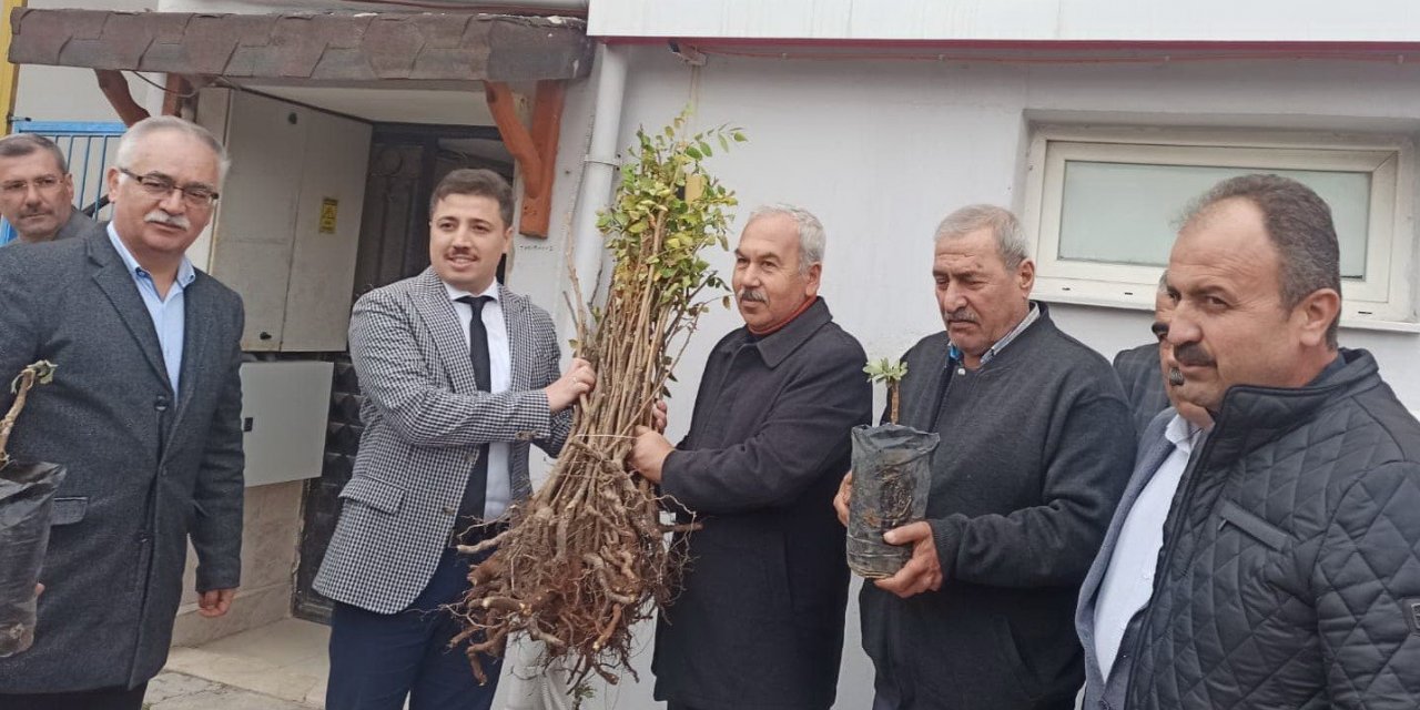 90 üreticiye 22 bin 500 adet sumak fidanı dağıtıldı