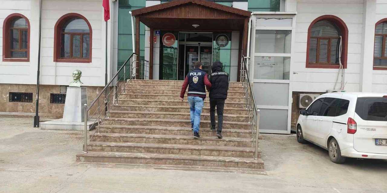 Ceviz ve bisiklet hırsızı tutuklandı