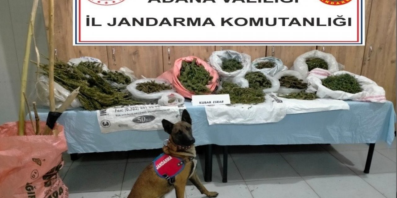 Adana’da çiftlik evinde uyuşturucu ele geçirildi