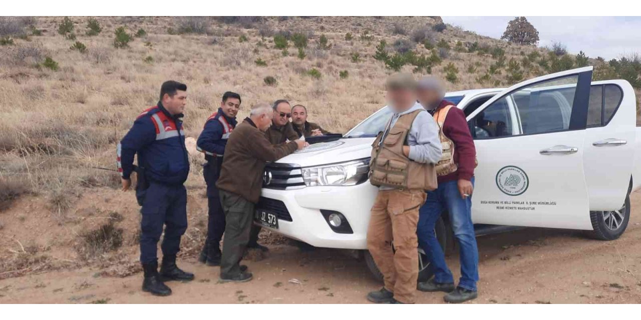 Yasa dışı ava suçüstü