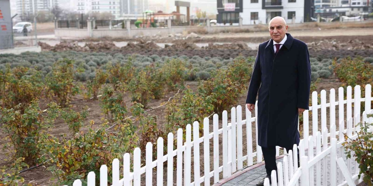 Keçiören’in lavanta ve gül bahçesi genişletiliyor