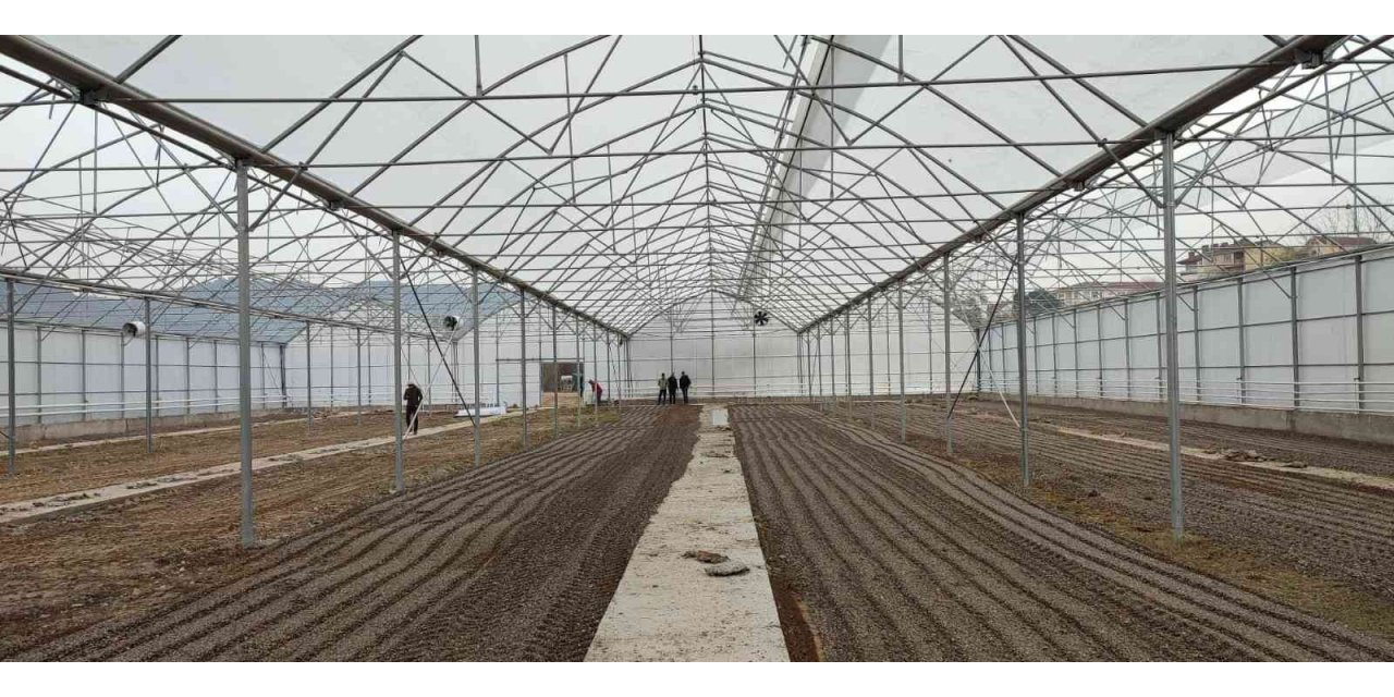 Osmaneli’nde “Sera Tesisi” projesi tamamlandı