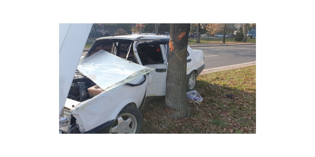 Kazada savrulan otomobil ağaca çarparak durabildi