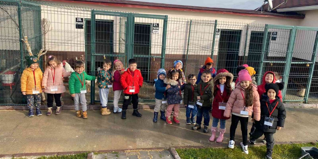 Sincan’daki hayvan Sevgi Bahçesi’ni 1410 öğrenci ziyaret etti