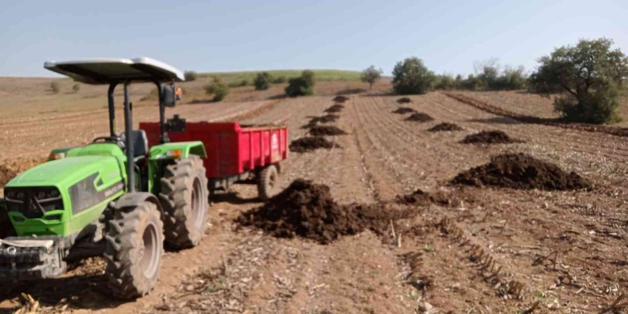 Bursalı çiftçi hayvan gübresini tercih ediyor