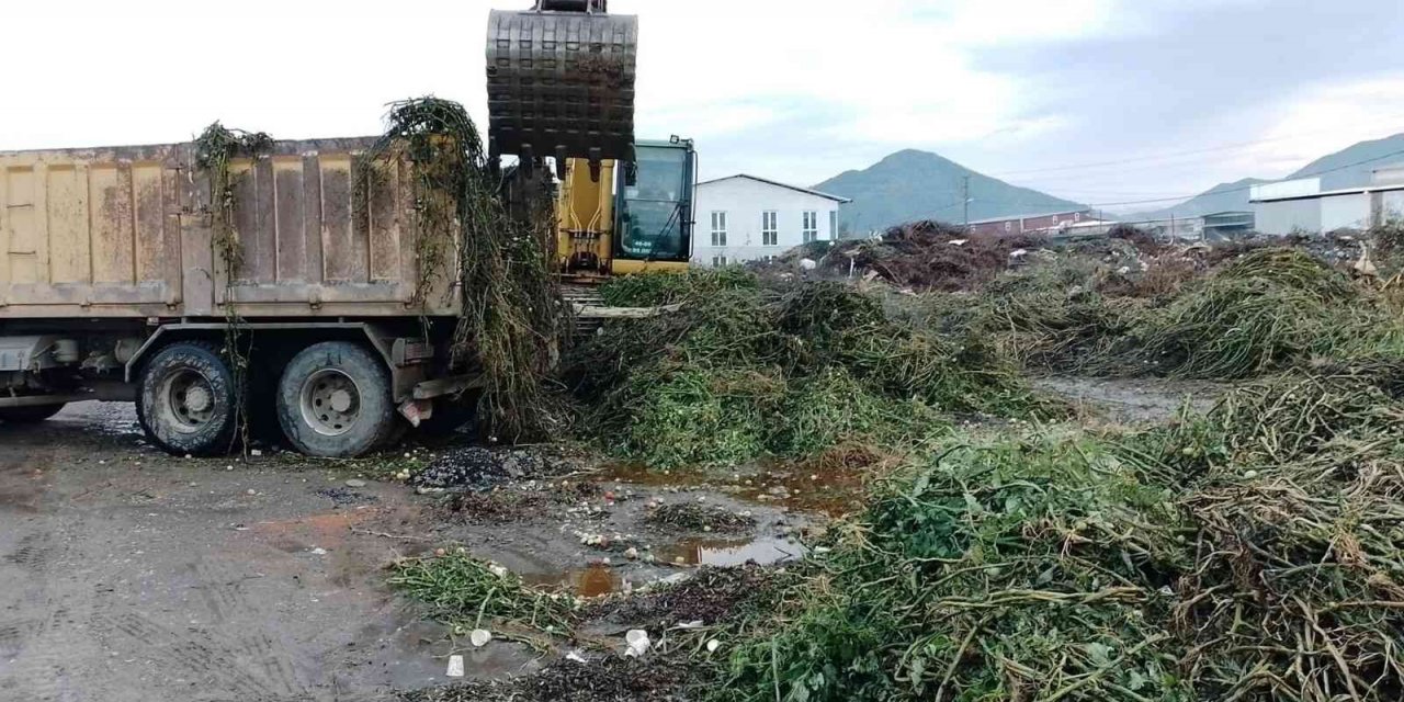 Ortaca’da yeşil alanlarda bakım çalışması