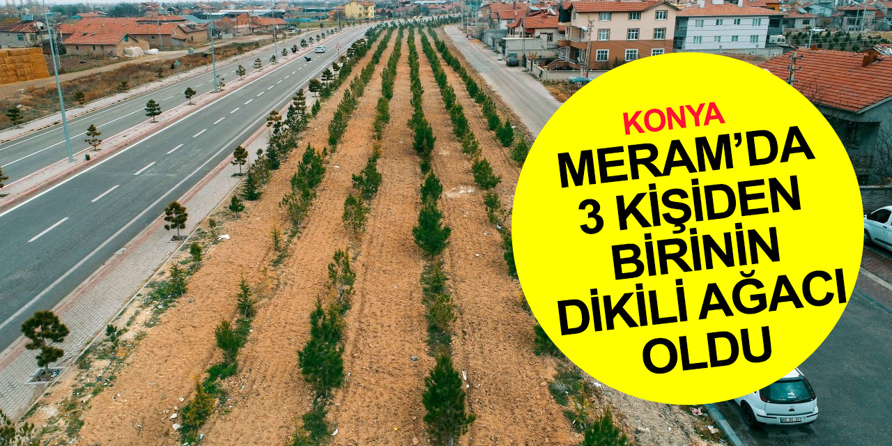 Konya'da ağaçlandırma seferberliği! Başkan Kavuş'tan 'Meram'da yeşil doku eski ihtişamlı günlerine kavuşana kadar' açıklaması