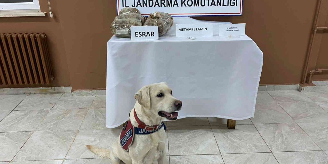 Uyuşturucu taciri, hassas burun Elyaf’a takıldı