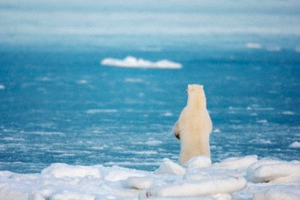 Milyonlar tehdit altında
