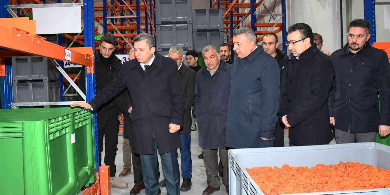 Kuru kayısı lisanslı deposu ile üreticilere kolaylık sağlanıyor