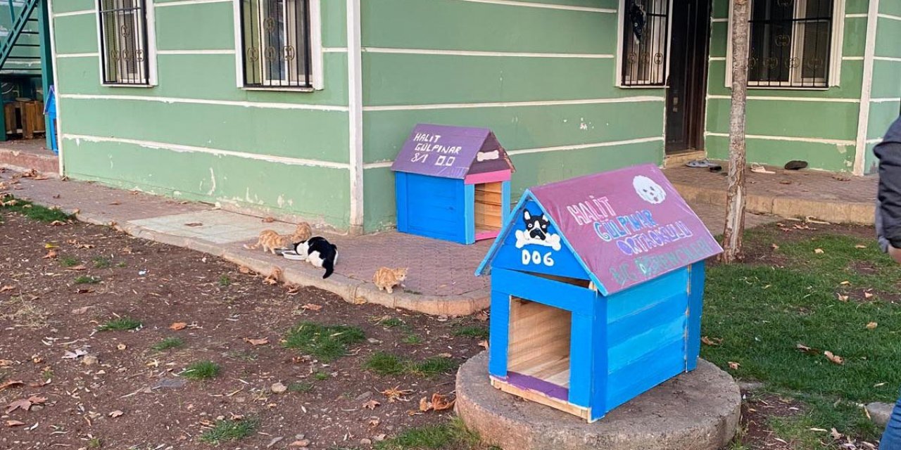 Siverek’te sokak hayvanları için kulübeler yapıldı