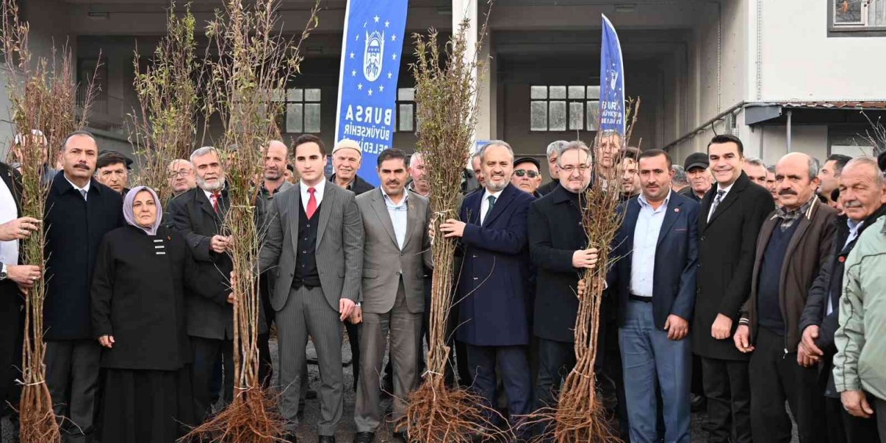 Bursa’da kırsaldaki çiftçilere 20 bin fidan dağıtıldı
