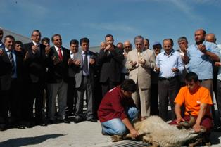 32 bin ton patates Seydibey'de işlenecek