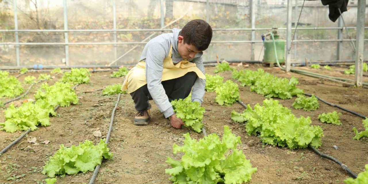 Öğrenciler serada yetiştirdikleri ürünlerden gelir elde ediyor