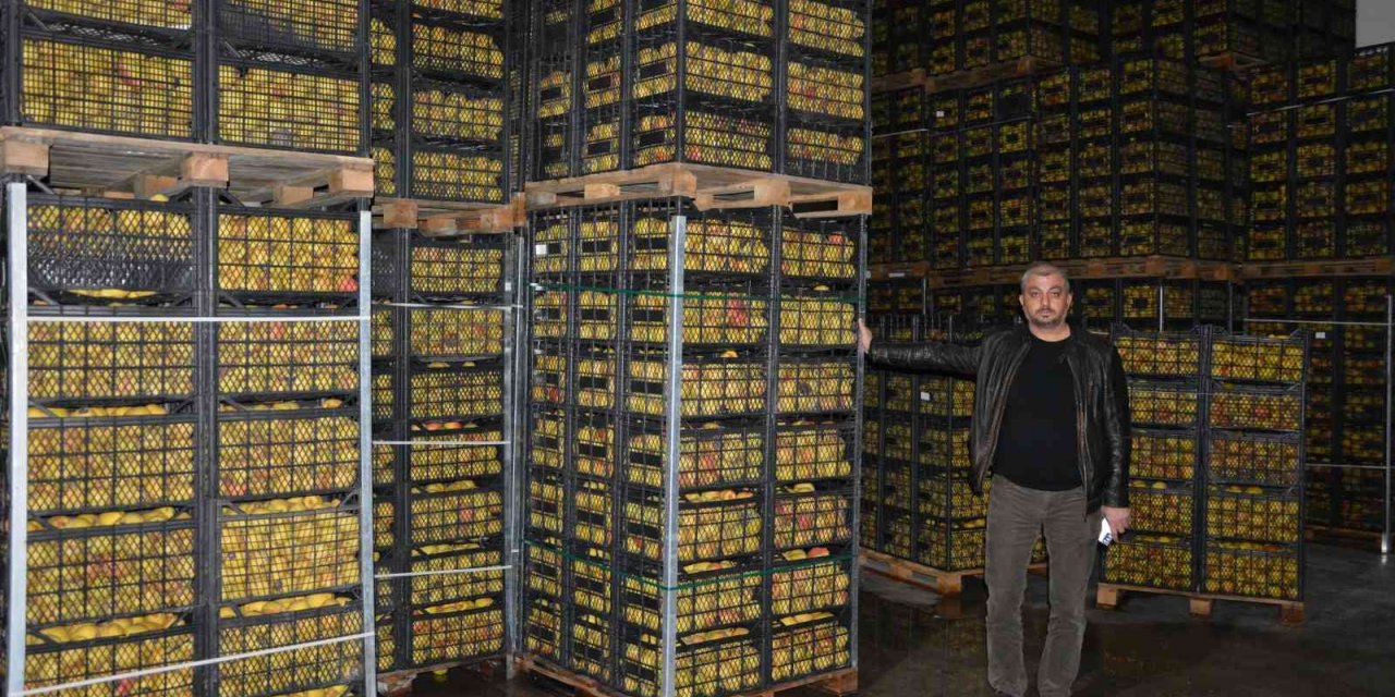 Romanya, Makedonya ve Ukrayna’ya ayva ve karyağdı armudu ihracatı