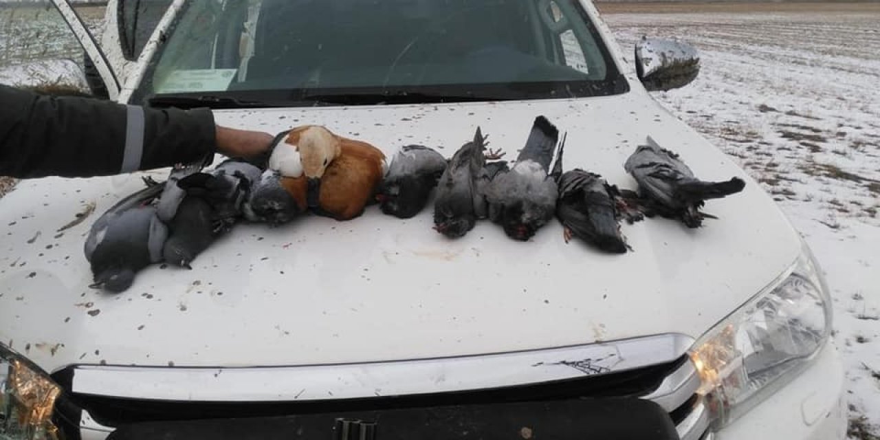 Kaçak avcılar suçüstü yapıldı