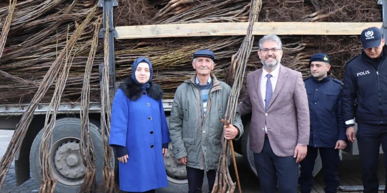 Gölpazarı’nda 13 bin 800 fidan toprakla buluşuyor