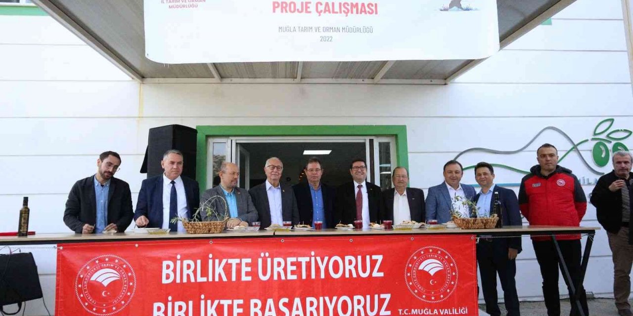Muğla’da ’Organik Zeytinyağının Öyküsü’ projesi tanıtım toplantısı gerçekleştirildi