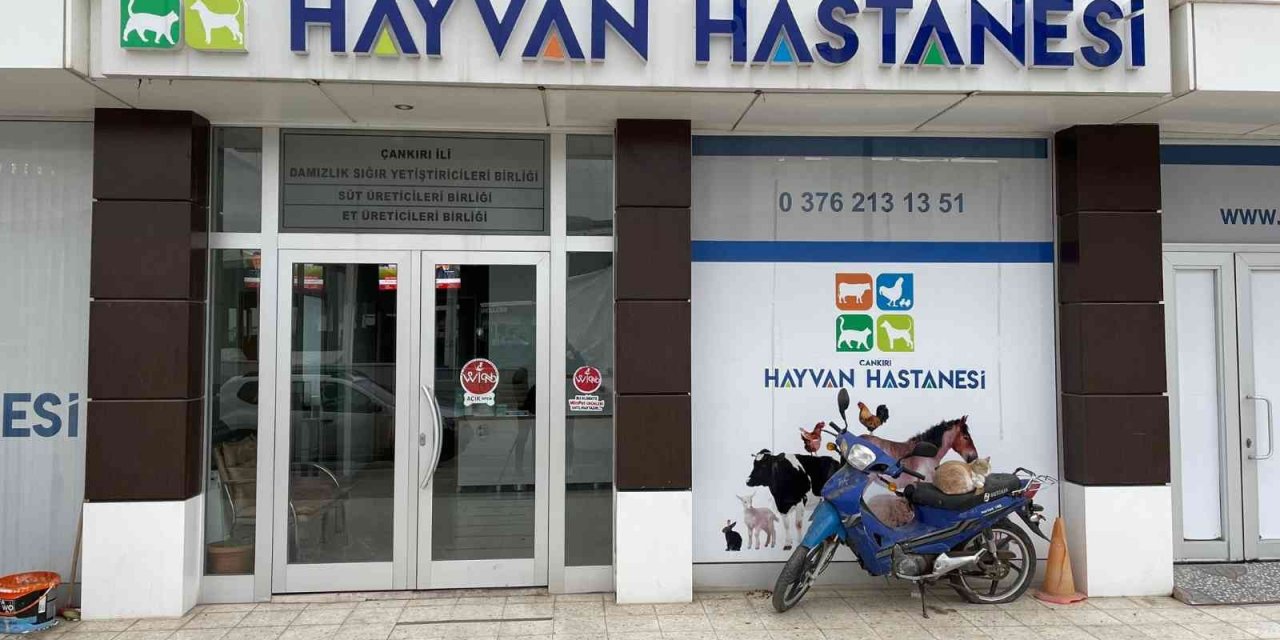 Türkiye’deki 3 hayvan hastanesinden birisi: Bölgedeki çiftçiler için umut oldu