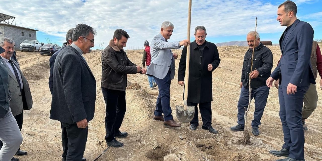 Adilcevaz’da kurulan “Ceviz Gen Bahçesi” çiftçinin yüzünü güldürdü