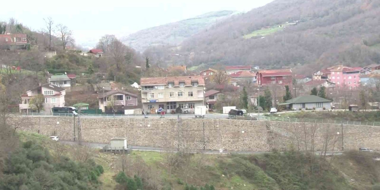 Beykoz’da aç kalan domuzlar yerleşim yerlerine indi