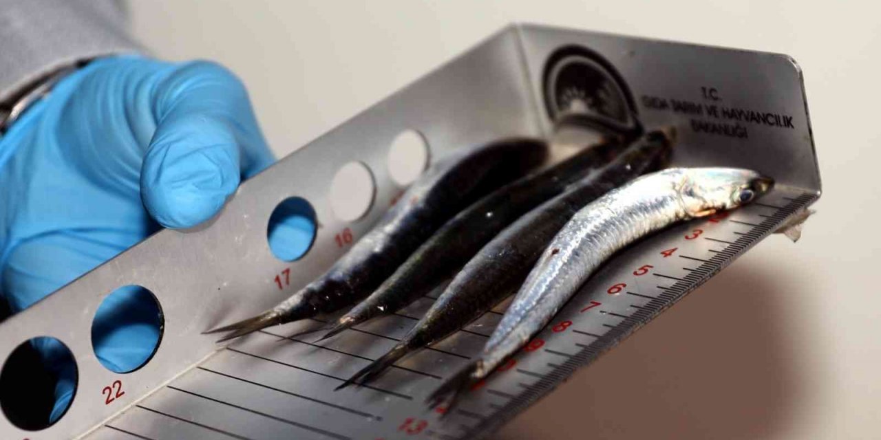 Uygunsuz avlanmaya geçit yok